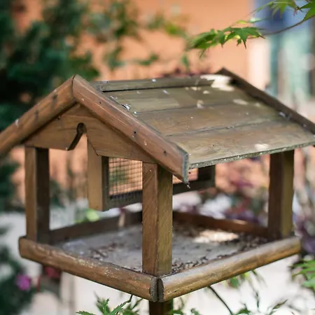 Chalet La Marquesa De *